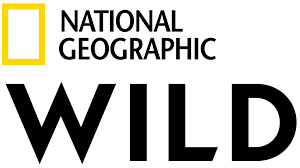 National Geographic Wild logo